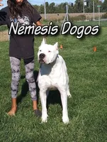 processed/5861f46e-4ded-4b51-9571-81432712b7d2/facility/077462b5-850a-43e1-88b1-c57ed0ce422b