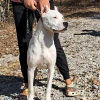 processed/5861f46e-4ded-4b51-9571-81432712b7d2/facility/2e929250-888d-45a6-a7ac-ea5fd4522189