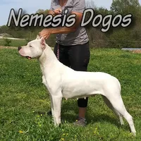 processed/5861f46e-4ded-4b51-9571-81432712b7d2/facility/67a2f28e-566b-4c69-94df-2cbcf52a59de