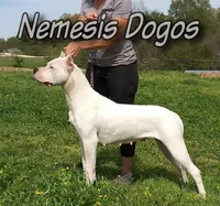 processed/5861f46e-4ded-4b51-9571-81432712b7d2/facility/67a2f28e-566b-4c69-94df-2cbcf52a59de