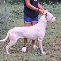 processed/5861f46e-4ded-4b51-9571-81432712b7d2/facility/ac54d6a3-4e4c-4f5c-992c-03944ca72e89