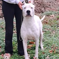 processed/5861f46e-4ded-4b51-9571-81432712b7d2/facility/d98e6b60-821a-4174-be99-fa060b49077c