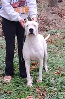 processed/5861f46e-4ded-4b51-9571-81432712b7d2/facility/d98e6b60-821a-4174-be99-fa060b49077c