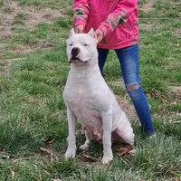 processed/5861f46e-4ded-4b51-9571-81432712b7d2/facility/e40fab26-4979-409c-b813-6ccea1d11c38