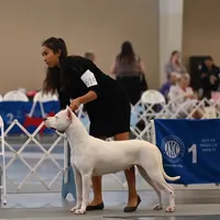 processed/5861f46e-4ded-4b51-9571-81432712b7d2/facility/ee11b659-e37c-4fb9-8f95-93f21b619c1b