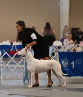 processed/5861f46e-4ded-4b51-9571-81432712b7d2/facility/ee11b659-e37c-4fb9-8f95-93f21b619c1b