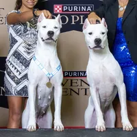 processed/5861f46e-4ded-4b51-9571-81432712b7d2/facility/f996000d-b566-4c10-9e0c-a893c4ce9f11