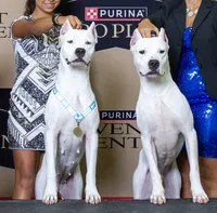 processed/5861f46e-4ded-4b51-9571-81432712b7d2/facility/f996000d-b566-4c10-9e0c-a893c4ce9f11