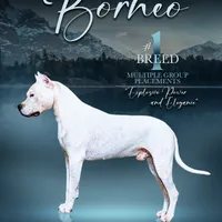 processed/5861f46e-4ded-4b51-9571-81432712b7d2/facility/ff990368-d77b-4749-b503-bce45dfa294c