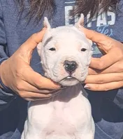 processed/5861f46e-4ded-4b51-9571-81432712b7d2/listing/065ef852-01e4-4b9a-ab7a-89a35df39465/04f23771-d7af-4d32-ba08-80716434db34