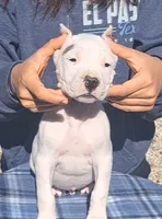 processed/5861f46e-4ded-4b51-9571-81432712b7d2/listing/065ef852-01e4-4b9a-ab7a-89a35df39465/0aa26aeb-8c48-45c9-b76c-b5fdcf39517c