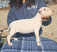 processed/5861f46e-4ded-4b51-9571-81432712b7d2/listing/065ef852-01e4-4b9a-ab7a-89a35df39465/0e0f2312-4d66-4a9a-8564-25912c001d60