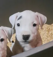 processed/5861f46e-4ded-4b51-9571-81432712b7d2/listing/17da980c-91c0-476d-8e62-5a27754931e8/1da813ea-a645-446d-961b-33466cd3fe78