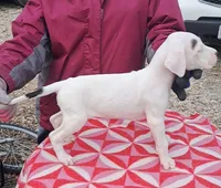 processed/5861f46e-4ded-4b51-9571-81432712b7d2/listing/17da980c-91c0-476d-8e62-5a27754931e8/25ea7d33-433d-4ea4-aa90-2ab982f7c038