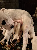 processed/5861f46e-4ded-4b51-9571-81432712b7d2/listing/17da980c-91c0-476d-8e62-5a27754931e8/9637c9c1-b922-465e-a9c8-474c47a43bda