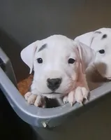 processed/5861f46e-4ded-4b51-9571-81432712b7d2/listing/17da980c-91c0-476d-8e62-5a27754931e8/df4fad07-bf77-48ca-a55a-0bc2a0c6941a