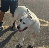 processed/5861f46e-4ded-4b51-9571-81432712b7d2/listing/17da980c-91c0-476d-8e62-5a27754931e8/fba0a513-6e91-434a-8e5d-4eed1126d4e0