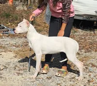 processed/5861f46e-4ded-4b51-9571-81432712b7d2/listing/86a5ba7c-c4a0-471a-a8b6-db8a69a13736/39f2f257-1fa0-4b51-81e1-63cf39a3d4b0