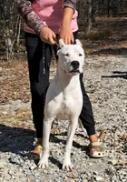 processed/5861f46e-4ded-4b51-9571-81432712b7d2/listing/86a5ba7c-c4a0-471a-a8b6-db8a69a13736/af1dccb6-b129-41a2-bbfa-4ae0ee6d9c1e