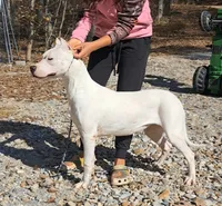 processed/5861f46e-4ded-4b51-9571-81432712b7d2/listing/d5496abc-6cfb-4fbc-bba8-2caa53756d41/849a143f-c1e1-421c-88db-c09702901e79