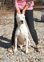 processed/5861f46e-4ded-4b51-9571-81432712b7d2/listing/d5496abc-6cfb-4fbc-bba8-2caa53756d41/c213978c-7ce4-4b05-accd-e7a6d9748650