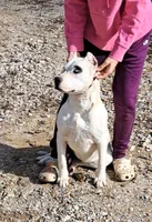 processed/5861f46e-4ded-4b51-9571-81432712b7d2/listing/eaeb4e77-a412-4036-83a4-da18f69292cd/1ded6ffb-3474-430c-9394-94c6953d0e8e