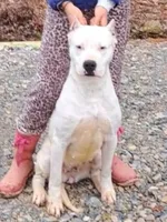 processed/5861f46e-4ded-4b51-9571-81432712b7d2/listing/eaeb4e77-a412-4036-83a4-da18f69292cd/412c8985-b004-4852-8e6e-bc9014ef9b9f