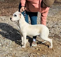 processed/5861f46e-4ded-4b51-9571-81432712b7d2/listing/eaeb4e77-a412-4036-83a4-da18f69292cd/4ca5f7d0-d8cf-40df-a430-f8f39c25ae1d