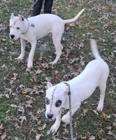 processed/5861f46e-4ded-4b51-9571-81432712b7d2/listing/eaeb4e77-a412-4036-83a4-da18f69292cd/558e7fe3-83db-4860-b562-09a9259c576a