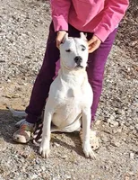 processed/5861f46e-4ded-4b51-9571-81432712b7d2/listing/eaeb4e77-a412-4036-83a4-da18f69292cd/bab20ef8-68be-4acc-b749-de4e9b27f4b8