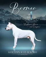 processed/5861f46e-4ded-4b51-9571-81432712b7d2/listing/eaeb4e77-a412-4036-83a4-da18f69292cd/d30cd0cd-fae2-4087-9e0d-eb4d439d8355