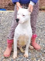 processed/5861f46e-4ded-4b51-9571-81432712b7d2/listing/eaeb4e77-a412-4036-83a4-da18f69292cd/ff12987f-1539-43aa-978a-863408c50fe2