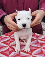 processed/5861f46e-4ded-4b51-9571-81432712b7d2/listing/fc3e0e6d-c654-4ecc-be05-983b5a028f99/19fb91d8-0d48-4b9a-9d63-8aa2b8d672e4