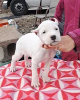 processed/5861f46e-4ded-4b51-9571-81432712b7d2/listing/fc3e0e6d-c654-4ecc-be05-983b5a028f99/37b7c355-0e88-4f48-ba7b-bc2f1127c1d1