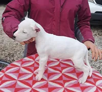 processed/5861f46e-4ded-4b51-9571-81432712b7d2/listing/fc3e0e6d-c654-4ecc-be05-983b5a028f99/37fd5b4a-8588-43f3-a0f3-8dbb831ab9f4