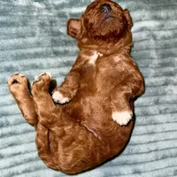 processed/5862cfb7-a6c9-471a-9d93-4892039963e3/facility/305ce359-f192-49e4-9a3e-75065686df2f