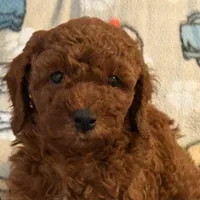 processed/5862cfb7-a6c9-471a-9d93-4892039963e3/facility/6e777ceb-5af8-4f0b-a332-ebe845dcab8d