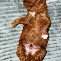 processed/5862cfb7-a6c9-471a-9d93-4892039963e3/facility/a66d4775-c554-46b1-b9bd-465c89205417