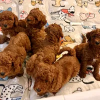 processed/5862cfb7-a6c9-471a-9d93-4892039963e3/facility/d24caab6-de65-44fe-8760-d4ac178392be