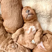 processed/5862cfb7-a6c9-471a-9d93-4892039963e3/facility/f48defe6-6dc0-4563-9831-cc09ac82b615