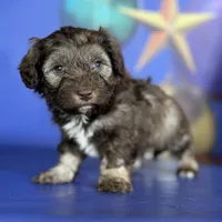 processed/58644bc6-c0eb-4993-9b87-a1bcd2367aad/listing/83c3ca95-09c6-4dc5-9894-5df6caae8a4d/1a4207e9-0128-430c-9078-d8991b78ded2