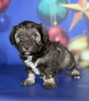 processed/58644bc6-c0eb-4993-9b87-a1bcd2367aad/listing/83c3ca95-09c6-4dc5-9894-5df6caae8a4d/5ca28879-e8cb-40ce-9cf6-49799f1d8211