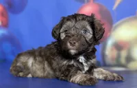 processed/58644bc6-c0eb-4993-9b87-a1bcd2367aad/listing/83c3ca95-09c6-4dc5-9894-5df6caae8a4d/bd353e6f-a433-42b7-9eb1-b00fec34bc6c