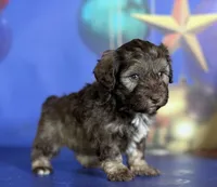 processed/58644bc6-c0eb-4993-9b87-a1bcd2367aad/listing/83c3ca95-09c6-4dc5-9894-5df6caae8a4d/c9260e13-166d-48b1-91bb-514850cf22df