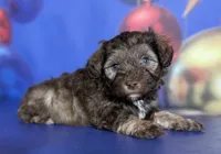 processed/58644bc6-c0eb-4993-9b87-a1bcd2367aad/listing/83c3ca95-09c6-4dc5-9894-5df6caae8a4d/fdc48374-8891-4484-a868-64a927c41ffd