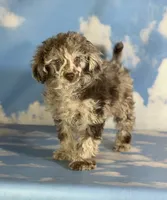 processed/58644bc6-c0eb-4993-9b87-a1bcd2367aad/listing/a118ba4e-c80e-436b-ad3a-ca4254cafc66/04d93590-06af-4522-8192-8c9f01c80295