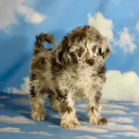 processed/58644bc6-c0eb-4993-9b87-a1bcd2367aad/listing/a118ba4e-c80e-436b-ad3a-ca4254cafc66/209ff9b0-33d9-4136-bf83-5b408295a48d