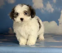 processed/58644bc6-c0eb-4993-9b87-a1bcd2367aad/listing/aaa11e64-1b8c-4b68-ac77-165994164b61/30acc9b8-dcba-4706-876d-ce522e509709