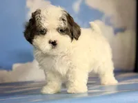 processed/58644bc6-c0eb-4993-9b87-a1bcd2367aad/listing/b49dcfe5-e50d-4f8d-9a30-739a4a1743c4/39788141-6602-45f4-9cc9-ee76327f114f