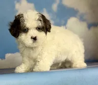 processed/58644bc6-c0eb-4993-9b87-a1bcd2367aad/listing/b49dcfe5-e50d-4f8d-9a30-739a4a1743c4/4def26c1-8cda-49b8-8f29-b98b4ba8d479